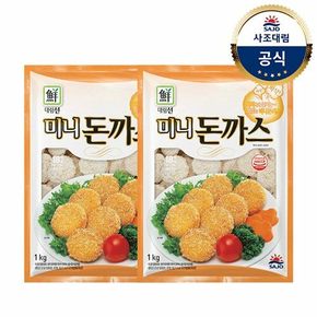 [대림냉동] 대림선미니돈까스 1,000g x2개