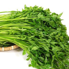 당일수확 무농약 청도 한재미나리 1kg