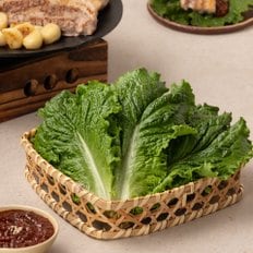 [한정기획] 청상추 (120g)