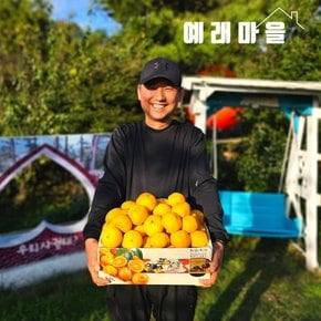 예래마을 제주 서귀포 노지 감귤 5kg 대과