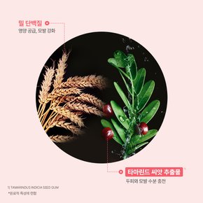 토뉘시아 볼륨 샴푸 600ml(+랜덤 50mlX2 증정)