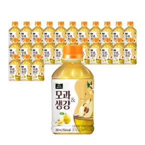 [미니냉장고EVENT]  미닛메이드 모과&생강 280ml 24개