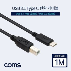 변환 케이블 1M B to C타입 (WD8974D)