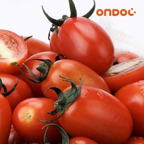 새콤달콤 대추 방울토마토 1kg 1팩
