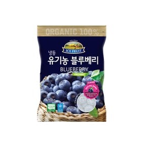 [냉동] 자연원 유기농 블루베리700g