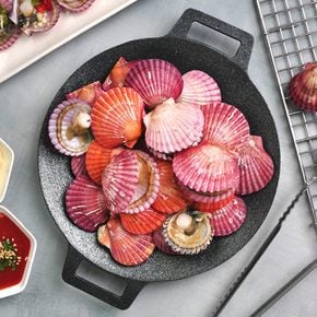 [산지직송] 국내산 남해안 홍가리비 1kg