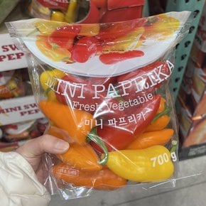 코스트코 미니 파프리카 700g