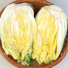  [HACCP인증]해남 절임배추_10kg