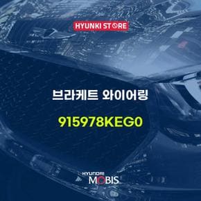 브라케트 와이어링 (915978KEG0)