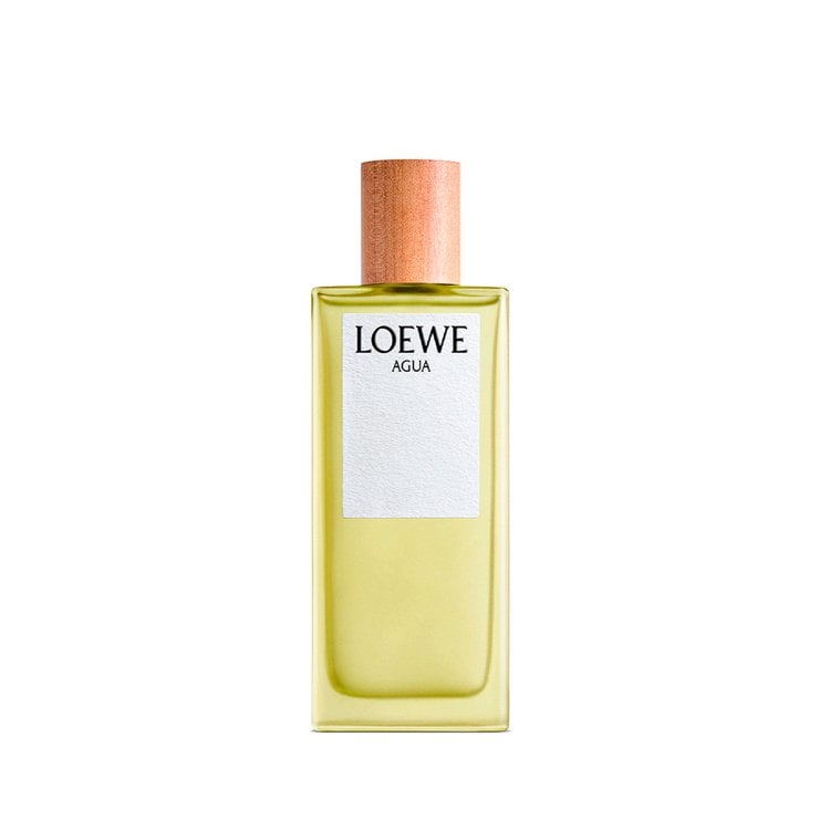 아구아 오 드 뚜왈렛 100ML