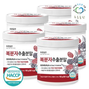 익은 복분자 추출 분말 가루 HACCP 180g 5통 복분자가루 복분자딸기 붉은색가루 열매 차