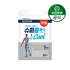 해피홈 슈퍼쿨파스 5매!