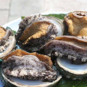 [바다마을협동조합] 완도특대활전복15-17미(1.5kg)선물포장