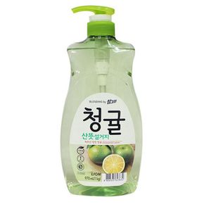 설거지 세척제 970ml 청귤 기름때 세척 식기 세제[33732852]