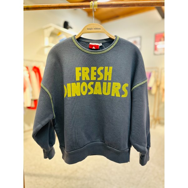 [파주점] [프레시 다이노소어] 프레시다이노소어 스웨트셔츠 (FD43-970)