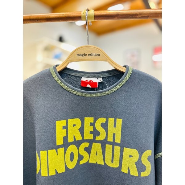 [파주점] [프레시 다이노소어] 프레시다이노소어 스웨트셔츠 (FD43-970)