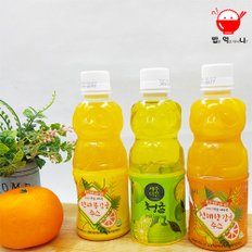 제주 감귤 주스100%착즙 청귤 330ml 6병