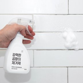 강력한 곰팡이제거제 300ml