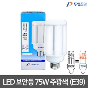 LED 보안등(E39) 75W 주광색 LED벌브