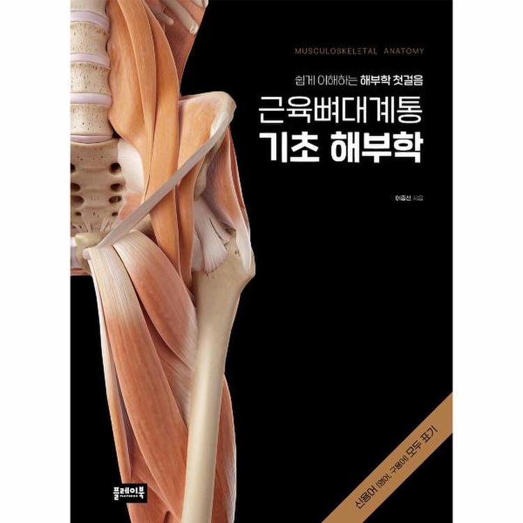 근육뼈대계통 기초 해부학 쉽게 이해하는 해부학 첫걸음_P327620816, 이마트몰, 당신과 가장 가까운 이마트