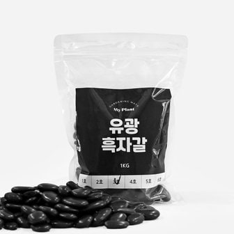 마이플랜트 유광흑자갈 1kg  소포장