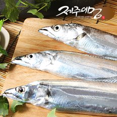 제주 은갈치 160g x 5마리(15토막)