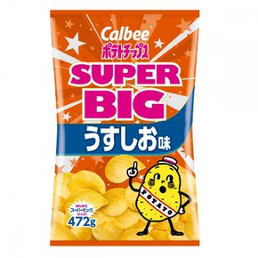 가루비 칼비 소금에 절인 감자칩 472g 포테이토 칩스