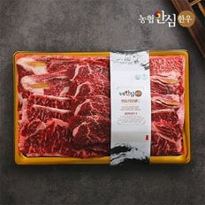 [냉장]1등급 구이4호 1kg (꽃등심700g+특수부위300g) 농협안심한우 한우선물세트