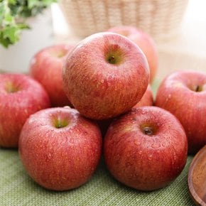 가정용 사과 2kg (5-12과내외)