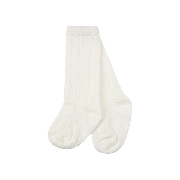 확대된 대표 Main Image