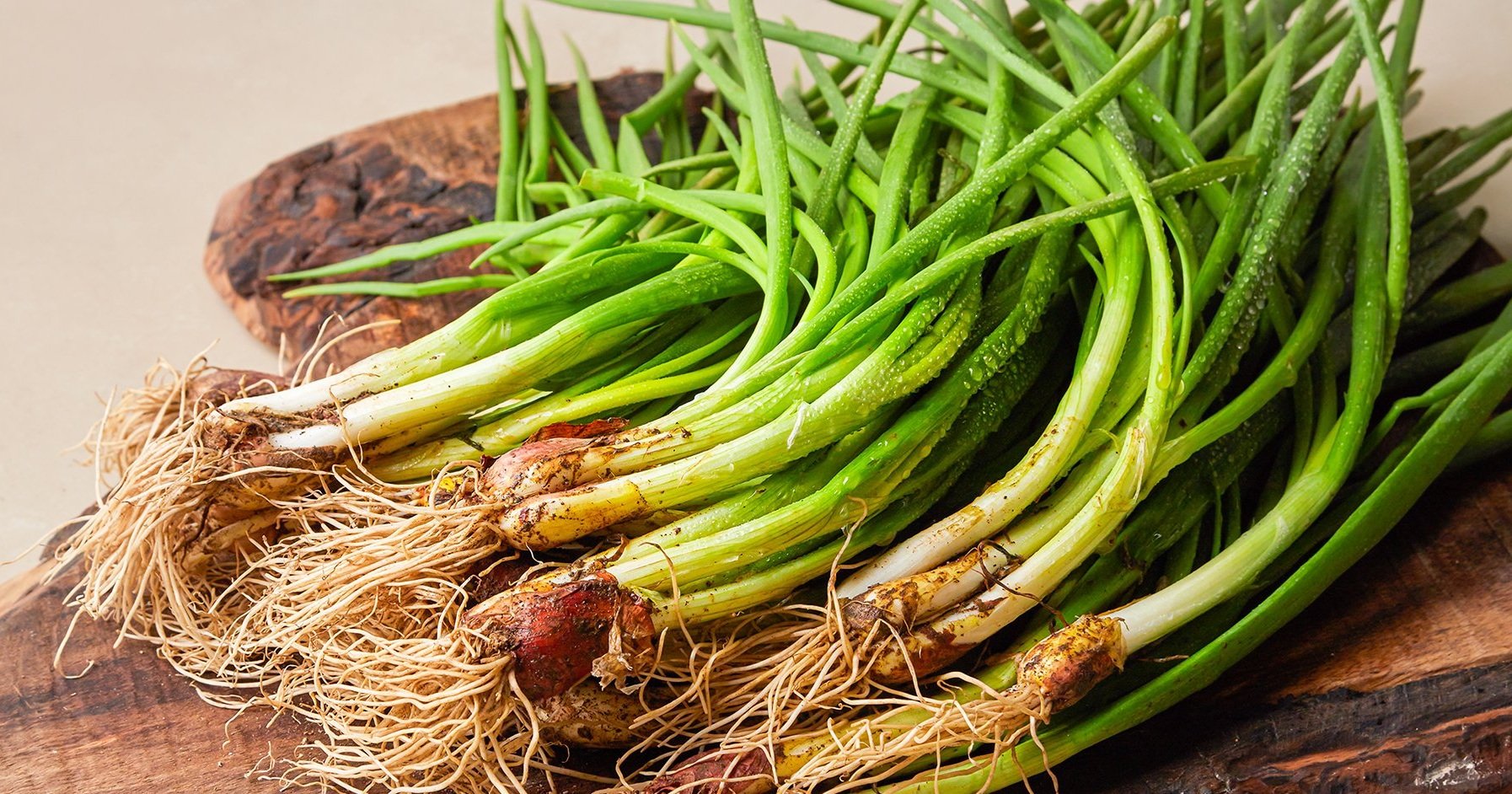  금주 채소행사~20%