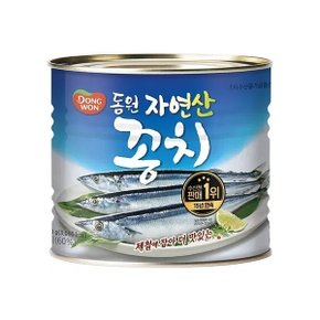 꽁치 1.8kg
