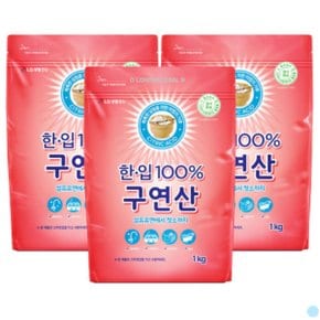 한입 100 구연산 섬유 유연 다목적 세정제 1KG X3