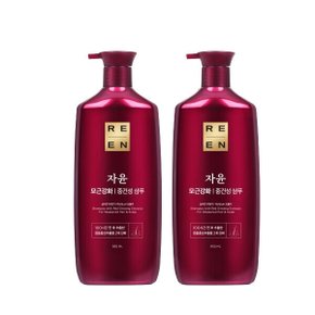 자윤비책 모근강화 중건성 샴푸 950ml x 2개