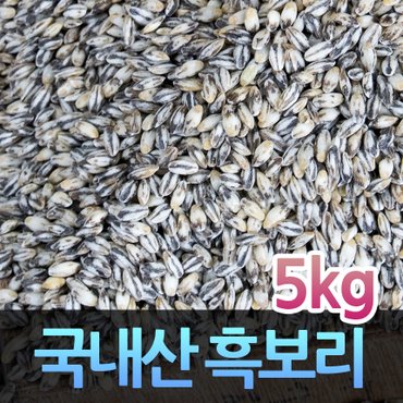 고인돌 국내산 잡곡 흑보리쌀 검정보리 흑보리 5kg