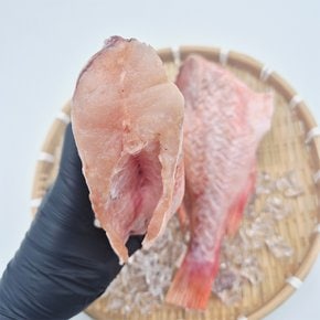 손질 특대 열기 불볼락 반건조 2미 x 1팩