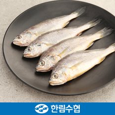 [제주 한림수협] 진공 제주 굴비 10미 선물세트 / 제주굴비 1.0kg(500g*2팩/팩당5미)+부직포가방