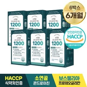 소연골 콘드로이친 맥스 1200 / 1,000mg x 60정 6박스