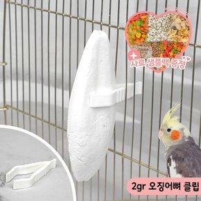 2GR 오징어뼈 클립 홀더 간식걸이 앵무새간식 새장설치