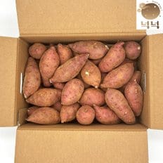 넉넉 해남 베니하루카(호박고구마+밤고구마) 꿀고구마 3kg 5kg 10kg
