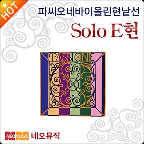 파씨오네 바이올린 현낱선 Passione String Solo E현