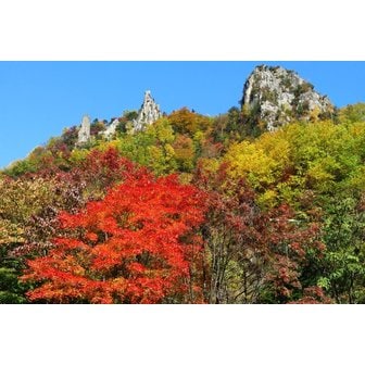 롯데관광 추석연휴 한정특가정통/아시아나항공10/36 북해도 단풍여행 4일 소운쿄온천호텔+로프웨이