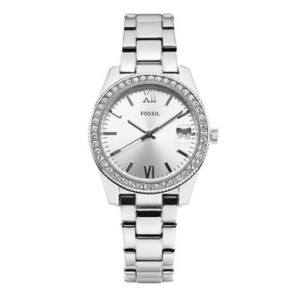 1. 파슬 [공식본사..