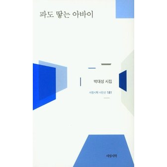  파도 땋는 아바이 - 서정시학 시인선 181 (양장)