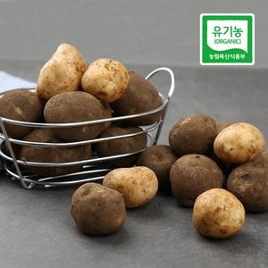  친환경 강원도 감자 특품 3kg