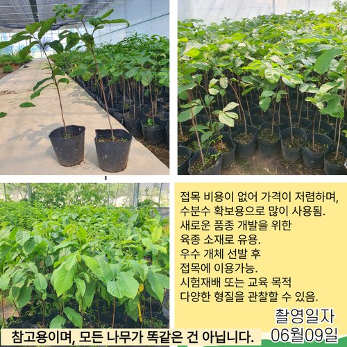 추가이미지1