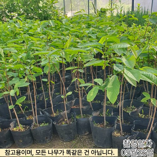 추가이미지2