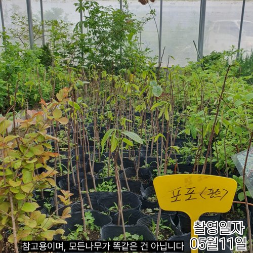 추가이미지3
