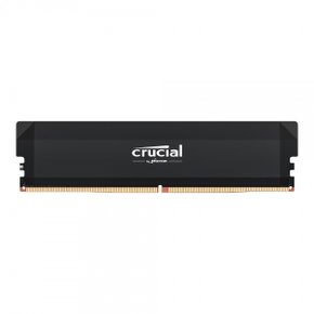 Crucial DDR5-6400 CL38 PRO Overclocking 대원씨티에스 (16GB)