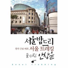 서울밤드리 : 작가 구보 씨의 서울 트레킹